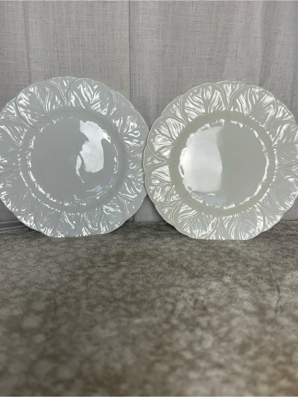 Wedgewood Coalport Countryware Dinner Plates - Set of 2